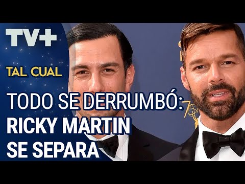 Ricky Martin regresa a la soltería
