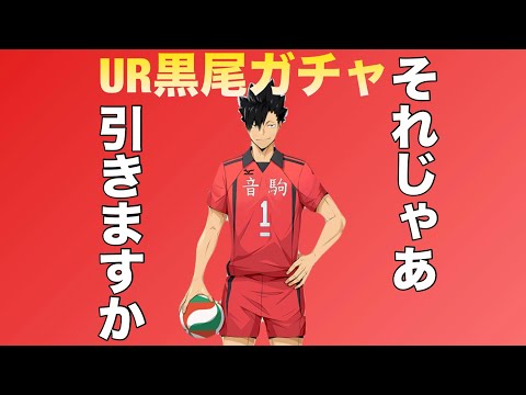 【ハイフラ】音駒をまとめる司令塔ガチャ引いてみた‼️