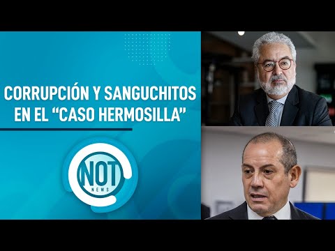 Los CHATS entre LUIS HERMOSILLA y SERGIO MUÑOZ | NotNews