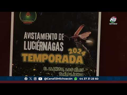 Michoacán tiene listos 6 avistamientos de luciérnagas para disfrutar este verano