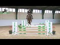 Show jumping horse VERKOCHT