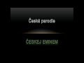 Launch Mini Player
