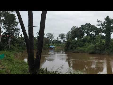 ทำบุญด้วยการปล่อยปลา-วันพระใหญ ทำบุญด้วยการปล่อยปลา-วันพระใหญ