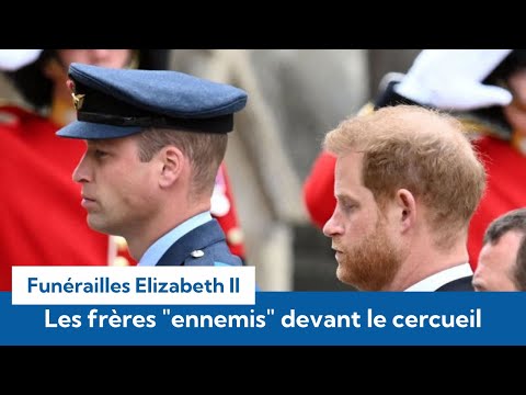 Funérailles d'Elizabeth II : William et Harry : les frères ennemis unis dans ce moment historique