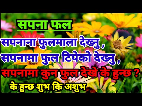 फुल टिपेको सपनाफल  l sapanama ful tipeko dekhnu l sapanama ful dekhnu l ful ko sapana
