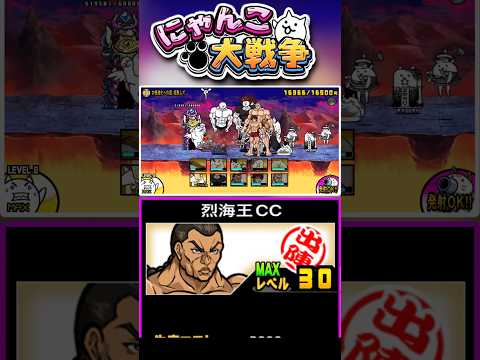 ネコマッチョVSガチマッチョ