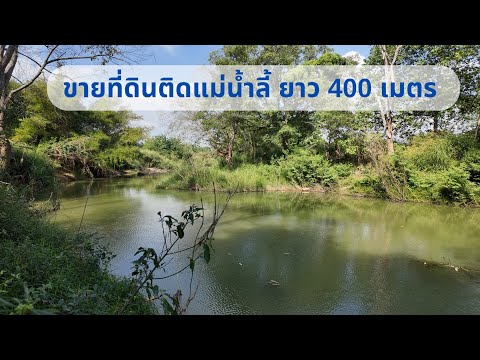 AA0382ขายที่ดินลำพูนติดแม่น้