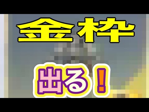 #ペニンシュラ大脱走「57箱開封」ｂｙ夢底辺グループ【荒野行動】2245PC版『KNIVES OUT』「荒野の光」   #荒野行動 #荒野組  #荒野再開祭 #荒野行動純金配布