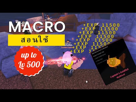 สอนใช้MacroMapFischRoblox