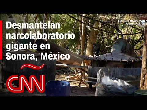 Así desmantelaron un narcolaboratorio de metanfetaminas en México