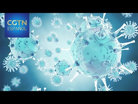 Los casos de coronavirus superan los 50 millones en el mundo, según la Universidad Johns Hopkins