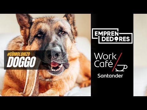 Doggo: El emprendedor que ofrece creativos mordedores para perros