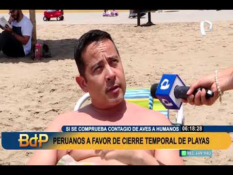 Por la presencia de gripe aviar: alcalde de Miraflores pedirá al Minsa cierre temporal de playas