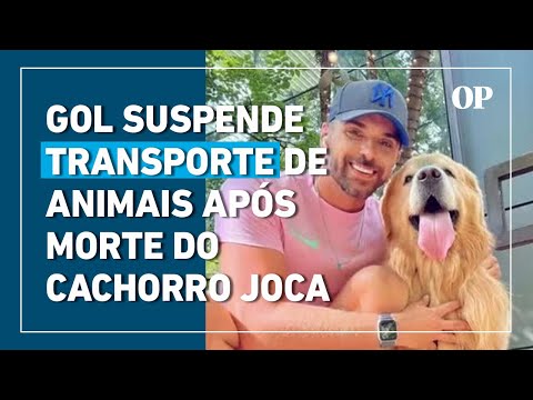 Gol suspende transporte de animais após morte do cachorro Joca