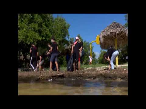 Lideran jóvenes cienfuegueros proyectos de protección a la bahía de Jagua