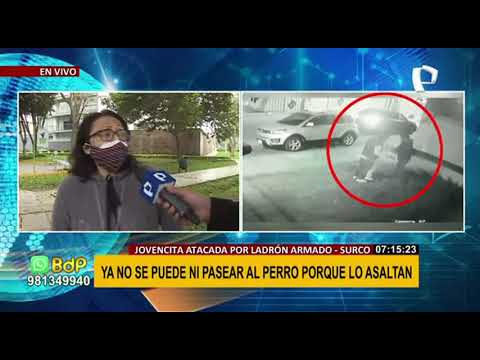 ¡Ya no se pude ni pasear a la mascota!: Mujer saca a su perro y es asaltada en calle de Surco