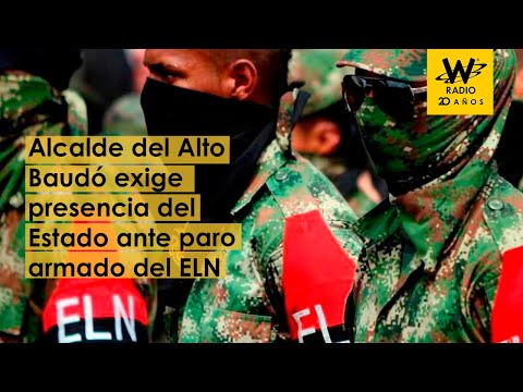 “No se tomaron medidas a tiempo”: alcalde del Alto Baudó por paro armado del ELN
