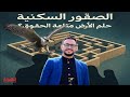 جمعية الصقور السكنية _  حلم الأرض متاهة الحقوق ؟   |   ملفات التاسعة   | قناة الهوية .