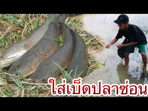 มาใส่เบ็ดอยู่ครองหลังบ้านได้ปล มาใส่เบ็ดอยู่ครองหลังบ้านได้ปล
