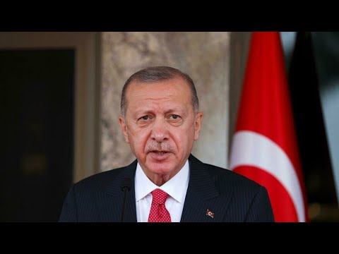 Turquie : dix ambassadeurs, dont celui de la France, déclarés comme persona non grata