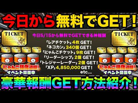 絶対チェックして！今日から無料でレアチケット4枚GETする方法紹介！無料でネコカン340個GETする方法紹介！99%が知らないにゃんこ大戦争の豆知識が面白すぎた！にゃんこ大戦争