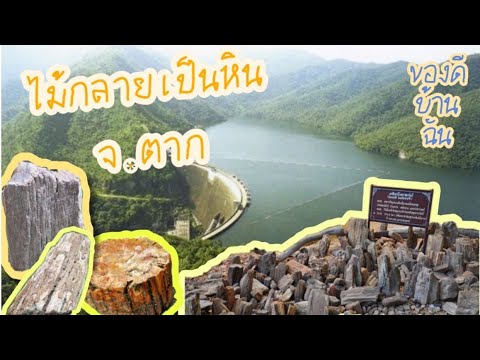 อุทยานแห่งชาติดอยสอยมาลัย-ไม