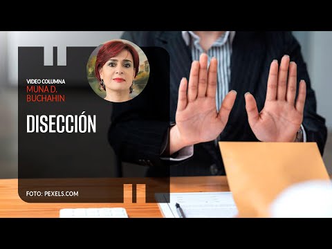 Disección. Por MUna D. Buchahin ¬ Video columna