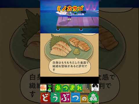 ミノカサゴ #あつまれどうぶつの森 #shorts #あつ森