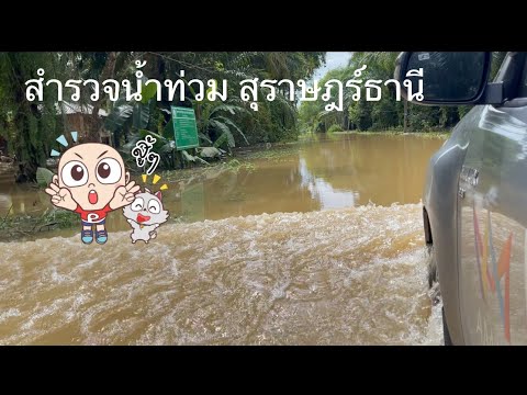 ลงพื้นที่น้ำท่วมสุราษฎร์ธานี