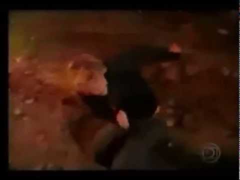 Thumbnail Video Youtube