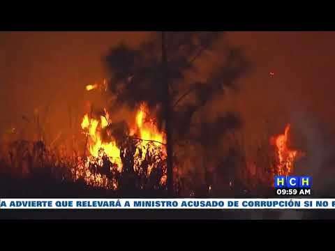 ¡Arde Honduras! en incendios causados por pirómanos