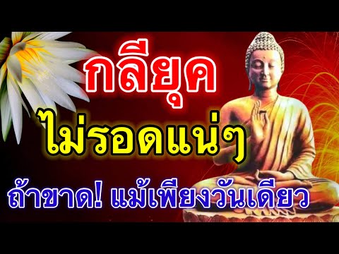 กลียุค-ไม่รอดแน่ๆ-ถ้าขาดศีลแม้ กลียุค-ไม่รอดแน่ๆ-ถ้าขาดศีลแม้