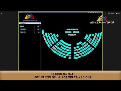 Votación de la apelación a la Presidencia - Sesión 924