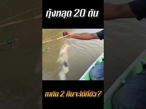 กุ้งหลุด20ตัน!!คิดว่าเราจะไ