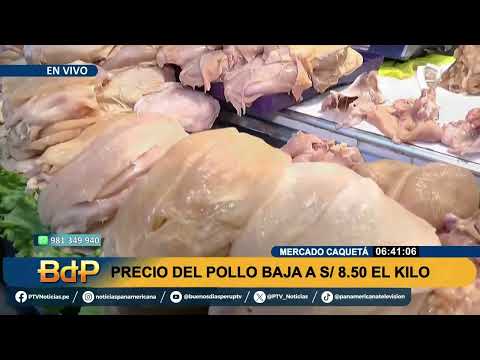 BDP EN VIVO ¡Buenas noticias! Baja el precio del pollo a S/. 8.50 el kilo