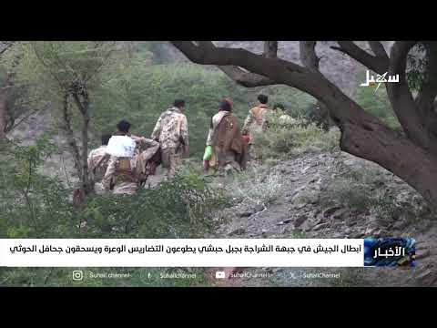 أبطال الجيش في جبهة الشراجة بجبل حبشي يطوعون التضاريس الوعرة ويسحقون جحافل مليشيا إيران الحوثية