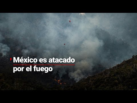 La fuerza de la naturaleza nos demuestra una vez más su poder; 19 estados arden en llamas