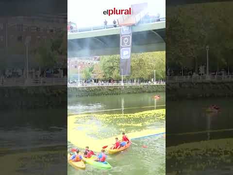 20.000 patos surcan la Ría de Bilbao para luchar contra las enfermedades neurodegenerativas #shorts