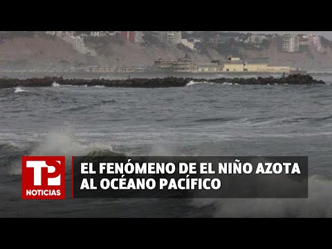 El Fenómeno de El Niño azota al océano Pacífico |26.02.2024| TP Noticias