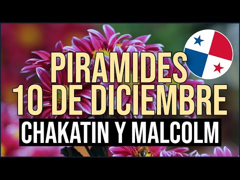 Pirámide Lotería de Panamá Domingo 10 de Diciembre 2023  - Pirámide de Chakatin y Malcolm Ramos