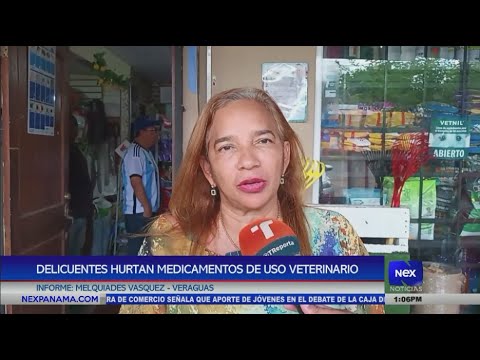 Delincuentes hurtan medicamentos de uso veterinario en Veraguas