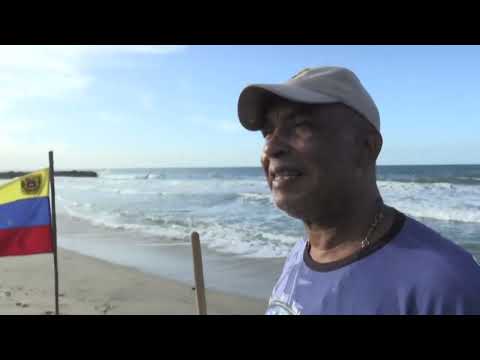 Rescatistas liberan tortugas marinas en Venezuela