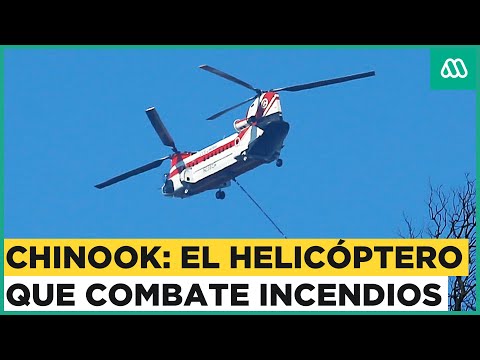 Chinook en Viña del Mar: Así es el helicóptero que que combate los incendios en los cerros