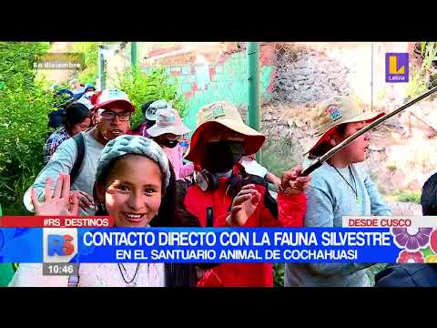 Contacto directo con la fauna silvestre en el santuario animal de Cochahuasi en Cusco