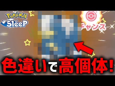 寝起きでポケスリ開いたら『高個体＆色違い』出現で一気に覚醒【ポケモンスリープ】