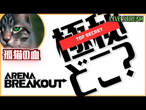 #204【アリーナブレイクアウト】今日もソロ修行？😺【Arena Breakout】