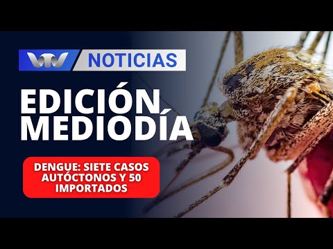 Edición Mediodía 12/03 | Dengue: siete casos autóctonos y 50 importados