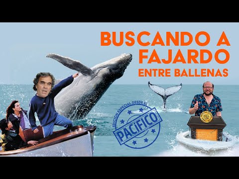 ¡SINVERGÜENZAS! LEGALIZARON LA MERMELADA SIN LA LEY DE GARANTÍAS / BUSCANDO A FAJARDO ENTRE BALLENAS