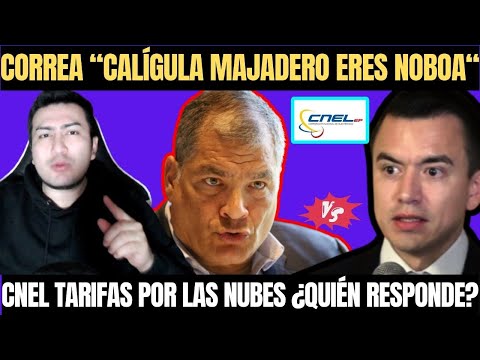 Daniel Noboa se MOFA del CORREISMO y Rafael Correa le RESPONDE | CNEL Planillas por las NUBES