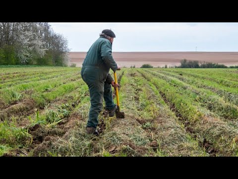 Agriculture : «On est soumis au cours mondial et l'État français ne peut rien y faire», assure Jo…